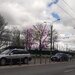 Teren pentru dezvoltare proiect case-vile in Bucuresti